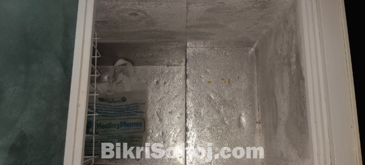 সিঙ্গার কোম্পানির ডিপ ফ্রিজ